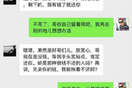 巢湖为什么选择专业追讨公司来处理您的债务纠纷？